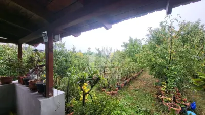 Casa individuala cu 5 camere,Giarmata Vii - foto 7