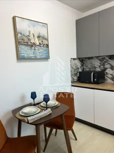 Apartament cu o camera de inchiriat, Timisoara zona Fabric - foto 7