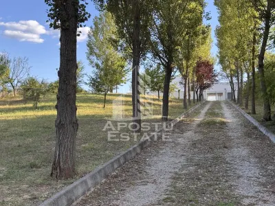 Vila deosebita cu piscina, familiala, investitie, business, Hunedoara - foto 18