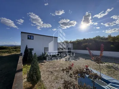 Vila deosebita cu piscina, familiala, investitie, business, Hunedoara - foto 19