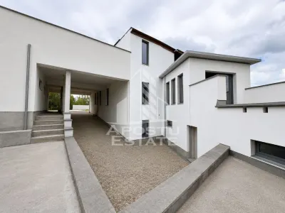Vila deosebita cu piscina, familiala, investitie, business, Hunedoara - foto 3
