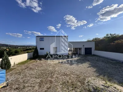 Vila deosebita cu piscina, familiala, investitie, business, Hunedoara - foto 24