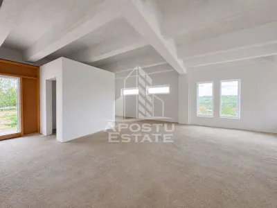Vila deosebita cu piscina, familiala, investitie, business, Hunedoara - foto 6