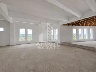 Vila deosebita cu piscina, familiala, investitie, business, Hunedoara - foto 7