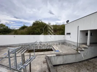 Vila deosebita cu piscina, familiala, investitie, business, Hunedoara - foto 9