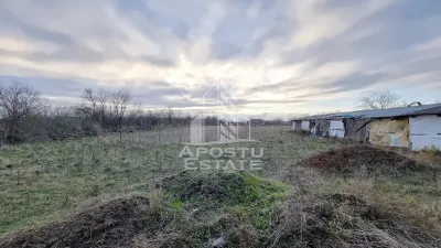 Casa individuala de vanzare la rosu cu teren generos, Seceani - foto 14