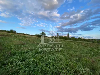 Teren intravilan cu vedere panoramica spre Retezat, Buituri, Hunedoara - foto 4