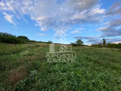 Teren intravilan cu vedere panoramica spre Retezat, Buituri, Hunedoara - foto 6