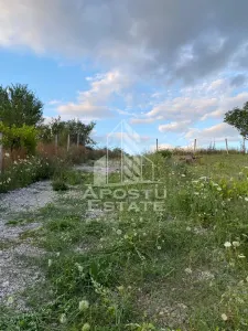 Teren intravilan cu vedere panoramica spre Retezat, Buituri, Hunedoara - foto 7