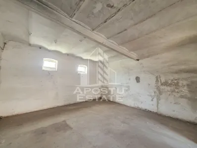 Casa spatioasa cu 2 locuinte si teren generos de 5.755 mp in ?andra - foto 12