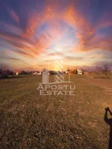 Casa spatioasa cu 2 locuinte si teren generos de 5.755 mp in ?andra - foto 18