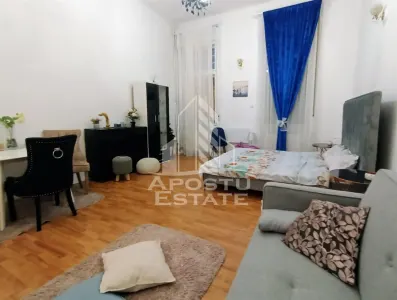 Apartament cu 1 camera,  in Timisoara situat in Paiata Victoriei - foto 2