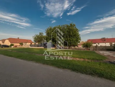 Casa de vanzare in Iecea Mica, de finalizat dupa propriul gust - Iecea Mica