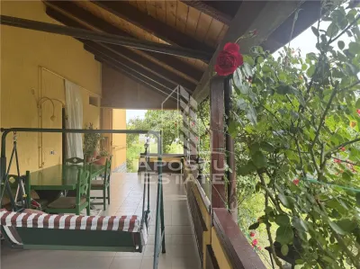 Casa unifamiliala in Ghiroda cu teren generos 1752 mp - foto 3