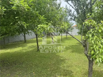 Casa unifamiliala in Ghiroda cu teren generos 1752 mp - foto 9