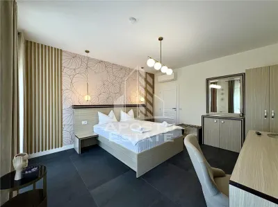Vila in Mosnita Noua - Oportunitate de investitie sau casa ideala. - foto 16