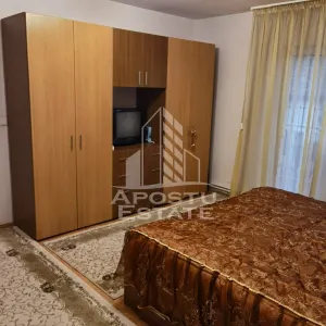 Casa individuala cu 4 camere,garaj si teren generos,Sanmihaiul German - foto 16
