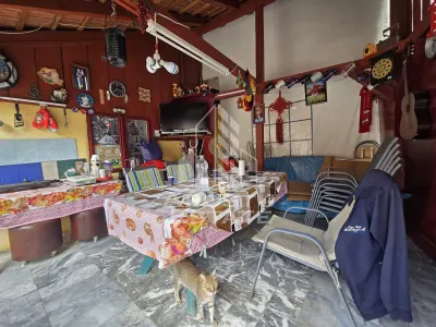 Casa individuala, teren generos, 797 mp, zona Mehala - foto 13