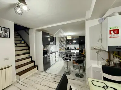 Doua apartamente la curte comuna separata, zona Timocului, Timisoata - foto 2