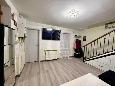 Doua apartamente la curte comuna separata, zona Timocului, Timisoata - foto 9