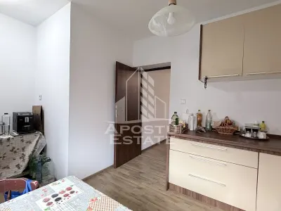 Casa moderna in Sanandrei la asfalt vatra satului - foto 15