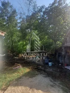 Casa individuala in Cruceni ,la granita cu Serbia - foto 11