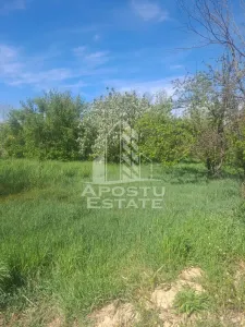 Casa individuala in Cruceni ,la granita cu Serbia - foto 12