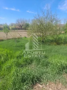 Casa individuala in Cruceni ,la granita cu Serbia - foto 17