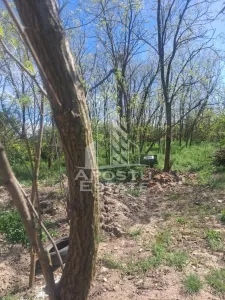 Casa individuala in Cruceni ,la granita cu Serbia - foto 18