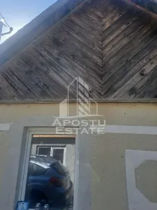 Casa individuala in Cruceni ,la granita cu Serbia - foto 3