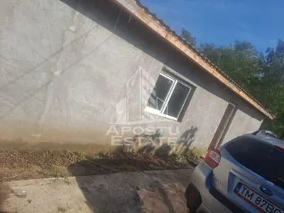 Casa individuala in Cruceni ,la granita cu Serbia - foto 4
