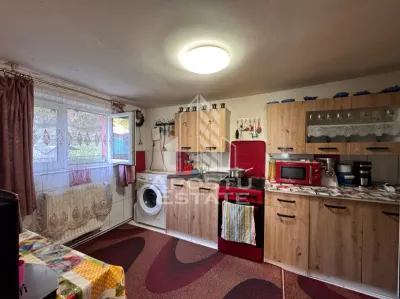 Casa cu 2 camere, zona muntoasa, casa din 2023 sat Criscior, Hunedoara - foto 2