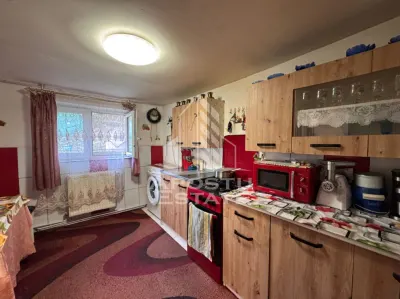 Casa cu 2 camere, zona muntoasa, casa din 2023 sat Criscior, Hunedoara - foto 3