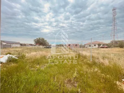 Teren Intravilan cu Constructie Zimandu Nou - foto 23
