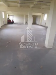 De vanzare / inchiriere hala industriala in Mosnita Noua, jud. Timis - foto 2