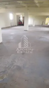 De vanzare / inchiriere hala industriala in Mosnita Noua, jud. Timis - foto 3