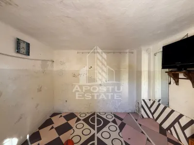Casa cu garaj de vanzare, teren 739mp, zona Modern Lorena - Timisoara - foto 9