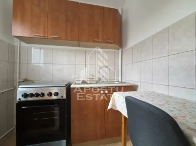 Apartament cu o camera,zona Micalaca - foto 3