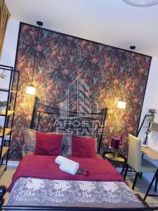 Apartament cu o camera, Zona Lipovei, Timisoara jud. Timis - foto 3