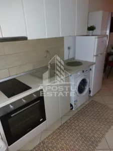 Apartament cu o camera, Zona Lipovei, Timisoara jud. Timis - foto 4