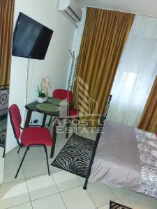 Apartament cu o camera, Zona Lipovei, Timisoara jud. Timis - foto 5