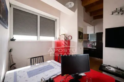 Penthouse de vanzare, Zona Torontalului, Timisoara - foto 3
