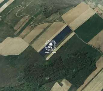 Teren Extravilan 20.700 mp de vanzare, Schitu Duca - Schitu Duca
