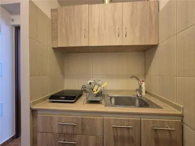 Apartament 2 camere Ultracentral Universitate - foto 15