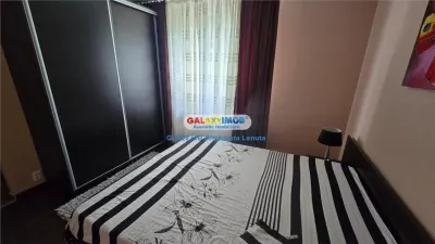 Drumul Taberei Raul Doamnei apartament 2 camere de inchiriat - foto 8