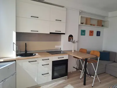 Studio modern de închiriat – Tătărași | Bloc nou | 350 €/lună - foto 5