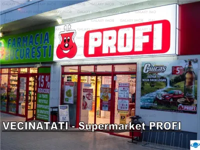 Inchiriere 2 camere cf. 2 TINERETULUI (Baladei)  partial mobilata - foto 14